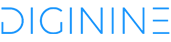 Diginine Hub - CMS, CRM, AI & API Platform